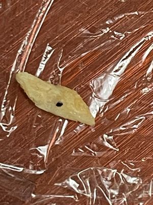 Northern Dumpling King by null