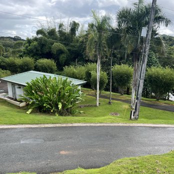 Treasure Island - Part of the view from our villa - Hotels Near Me - Cidra, Puerto Rico