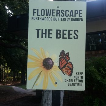 Northwoods Community Park - No Bees, no food. - Parks Near Me - N Charleston, South Carolina Northwoods Community Park - No Bees, no food. - Parks Near Me - N Charleston, South Carolina