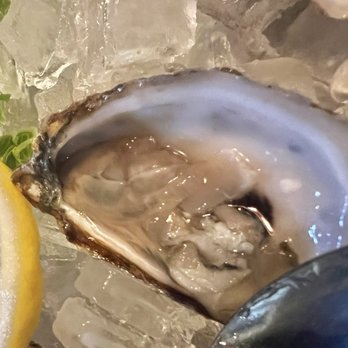The Forager - Bluepoint raw oysters - Bars Near Me - Howard City, Michigan The Forager - Bluepoint raw oysters - Bars Near Me - Howard City, Michigan