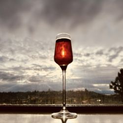 iconiq - Tenuta Di Artiminovin Santo di Carmignano