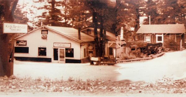 The Mountain House by null