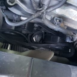 Serpentine Belt...