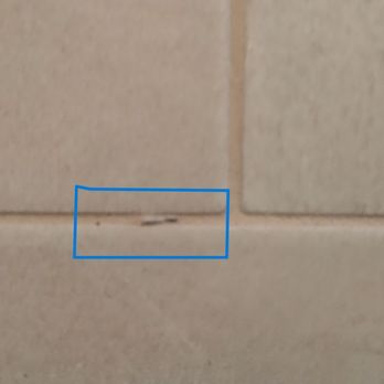 A Perfect Floor - One of many disposable leveling clip still embedded in grout joint - Flooring Near Me - Sanford, Florida