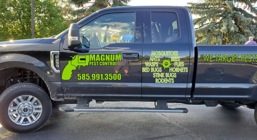 MAGNUM PEST CONTROL Updated October 2024 4423 Lattimer Rd