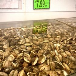 Super King Food Center - Live Clams.