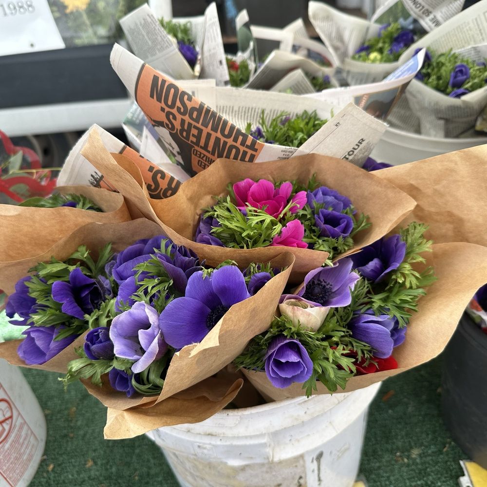 Oceanside Farmer's Market - Farmers Market Near Me - Oceanside, California