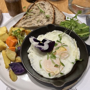 Ol Days - Eggs Any Style - Breakfast & Brunch Near Me - New York, New York Ol Days - Eggs Any Style - Breakfast & Brunch Near Me - New York, New York