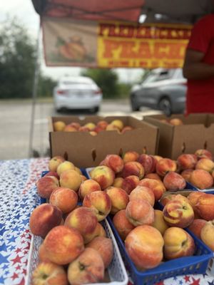 Barton Creek Farmers Market by null