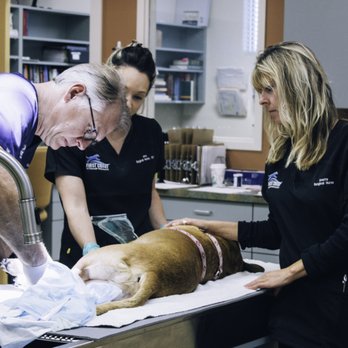 first coast veterinary specialists