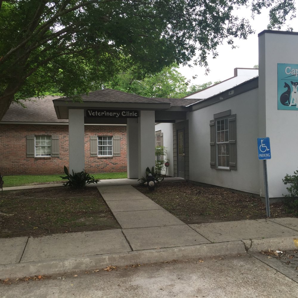 Capital Heights Veterinary Clinic - Entrance - Veterinarians Near Me - Baton Rouge, Louisiana Capital Heights Veterinary Clinic - Entrance - Veterinarians Near Me - Baton Rouge, Louisiana