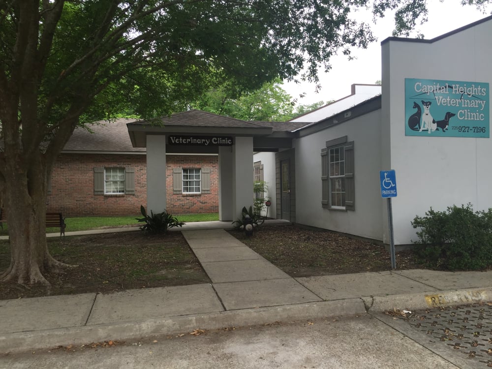 CAPITAL HEIGHTS VETERINARY CLINIC Updated August 2024 10 Photos