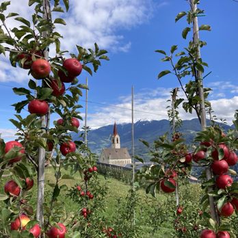 Keschtenweg Chestnut Trail - Apples everywhere in October - Hiking Near Me - Velturno, BZ
