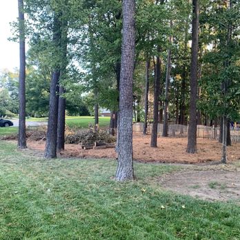 MC Hernandez Tree Service - Trees and stumps - Tree Services Near Me - Midlothian, Virginia