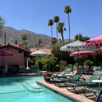 Les Cactus - Pool view - Hotels Near Me - Palm Springs, California Les Cactus - Pool view - Hotels Near Me - Palm Springs, California