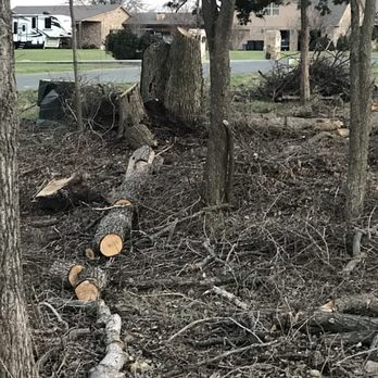 Total Unique Tree Service - Tree Services Near Me - Plano, Texas Total Unique Tree Service - Tree Services Near Me - Plano, Texas