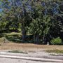 Photo of Old Man House Park