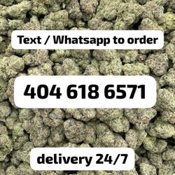 Bud Delivery