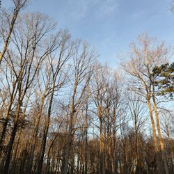 Rosedale Nature Park - Walk/bike trail just right behind the playground.