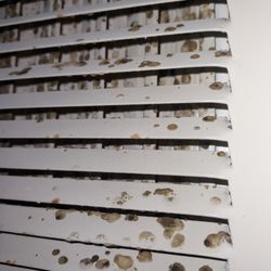 The Belmont - Air vent in apartment 2004 building