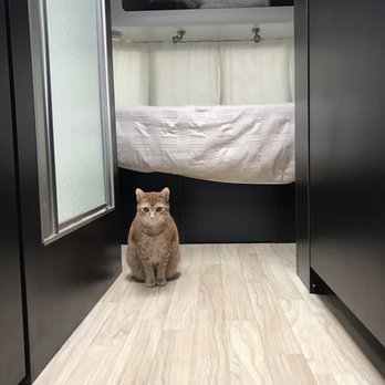 GoSilver - Chaser loved the Airstream as much as we did. - RV Rental Near Me - Lathrop, California