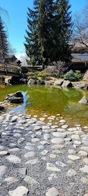 Kasugai Gardens by null