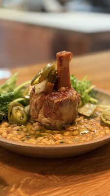 Cozobi Fonda Fina by null