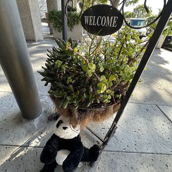 Pinpoint Cafe - Outside sign - Coffee & Tea Near Me - La Jolla, California