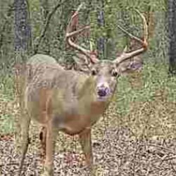 Jamie Nichols Outfitters