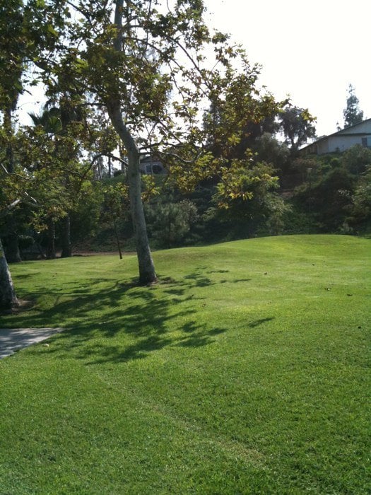 HATFIELD PARK Updated August 2024 15 Photos 10050 Austin Dr