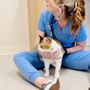 Photo of Chewy Vet Care 9+Co