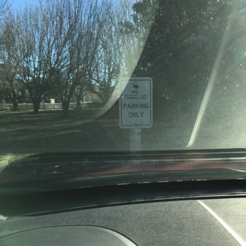 Crescent Care - In the parking lot! - Veterinarians Near Me - Mount Pleasant, South Carolina
