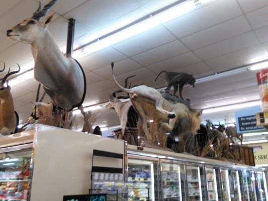 Archie's Food Basket by null