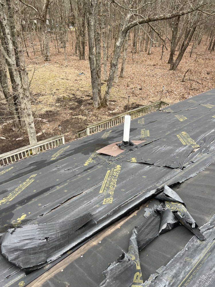 Desiderio Field Services - mold inspector in Ashley, PA