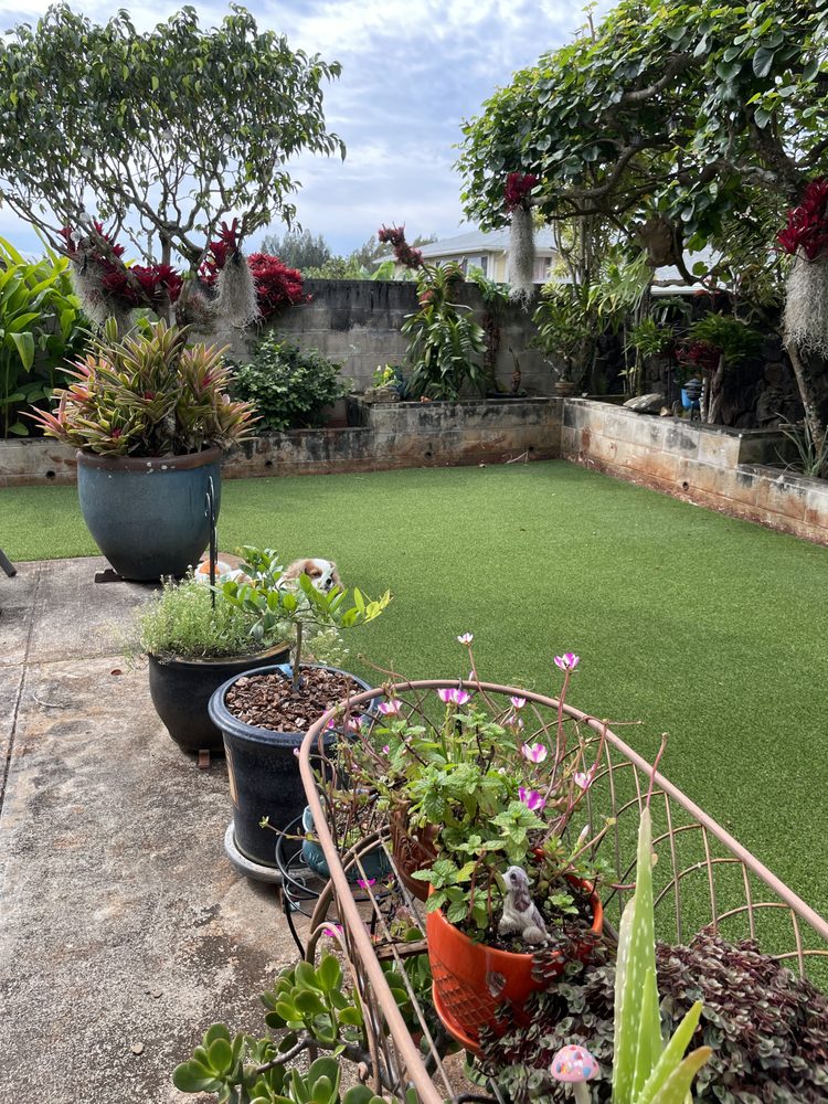 SYNTHETIC TURF SYSTEMS HAWAII Updated August 2024 148 Photos & 18