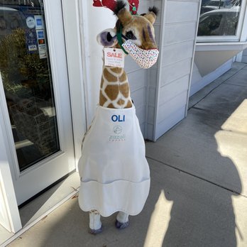 ZaZoLi Sweets - a giraffe in a dress - Candy Stores Near Me - Richmond, Virginia