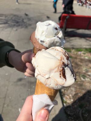 Gelateria il Doge by null