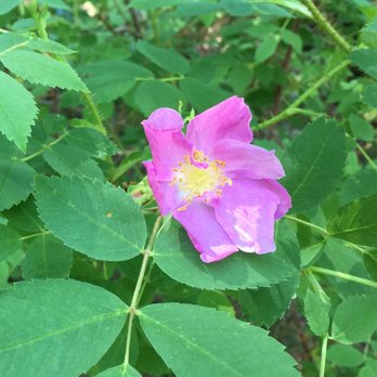 Edworthy Park - Parks Near Me - Calgary, Alberta Edworthy Park - Parks Near Me - Calgary, Alberta