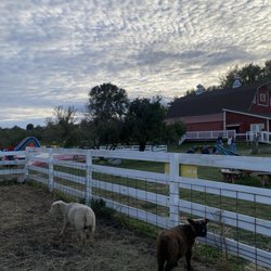 Deer Lake Orchard - Beautiful space