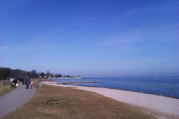 Charlottenlund Beach Park by null