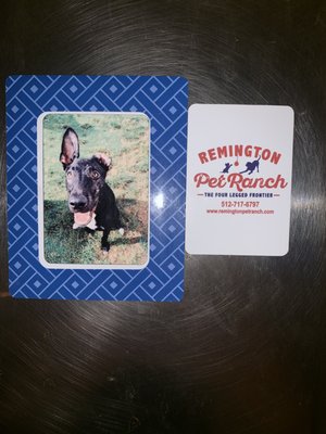 remington pet ranch
