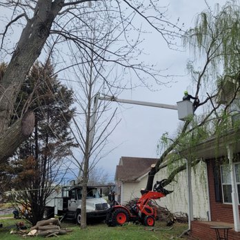 YWS Tree Service - Tree Services Near Me YWS Tree Service - Tree Services Near Me