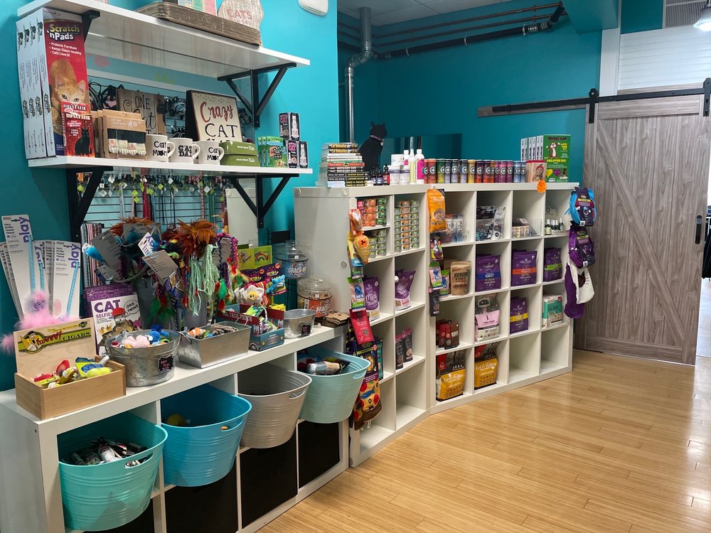 PUPCAKES! Updated August 2024 19 Photos & 26 Reviews 366 Main St