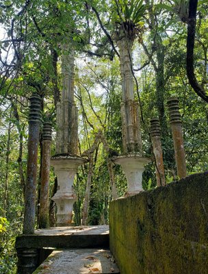 Las Pozas by null