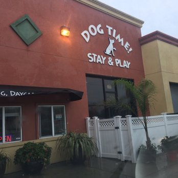 Dog Time! - Pet Boarding Near Me - San Leandro, California