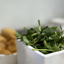 Chongqing Wharf Edison - Watercress