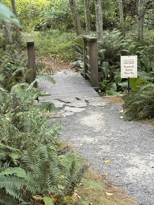 Milner Gardens & Woodland - Vancouver Island University by null