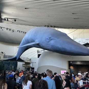 Operational costs behind the ticket price