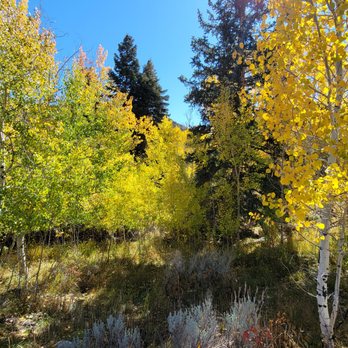 Great Basin National Park - Parks Near Me - Baker, Nevada