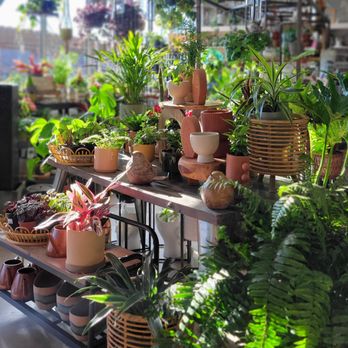 Brenda's Blumenladen - Houseplants and pottery are available all-year long - Home Decor Near Me - New Glarus, Wisconsin